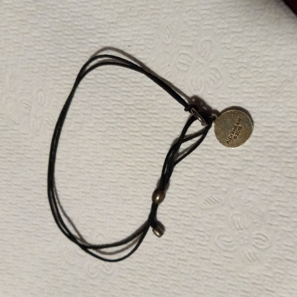 Alex and Ani slide bracelet